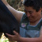 Ainda Maruxa